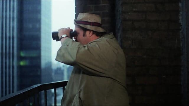 That Lucky Stiff (1980)