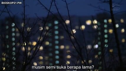 Subtitle Indonesia full